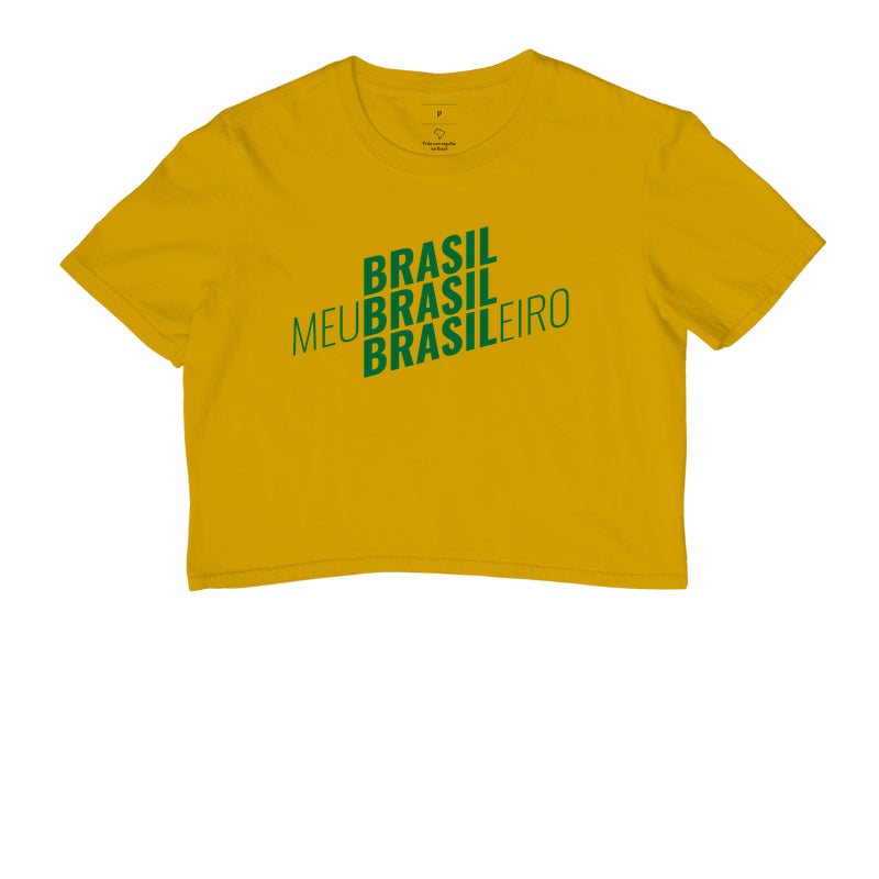 meu brasil brasileiro