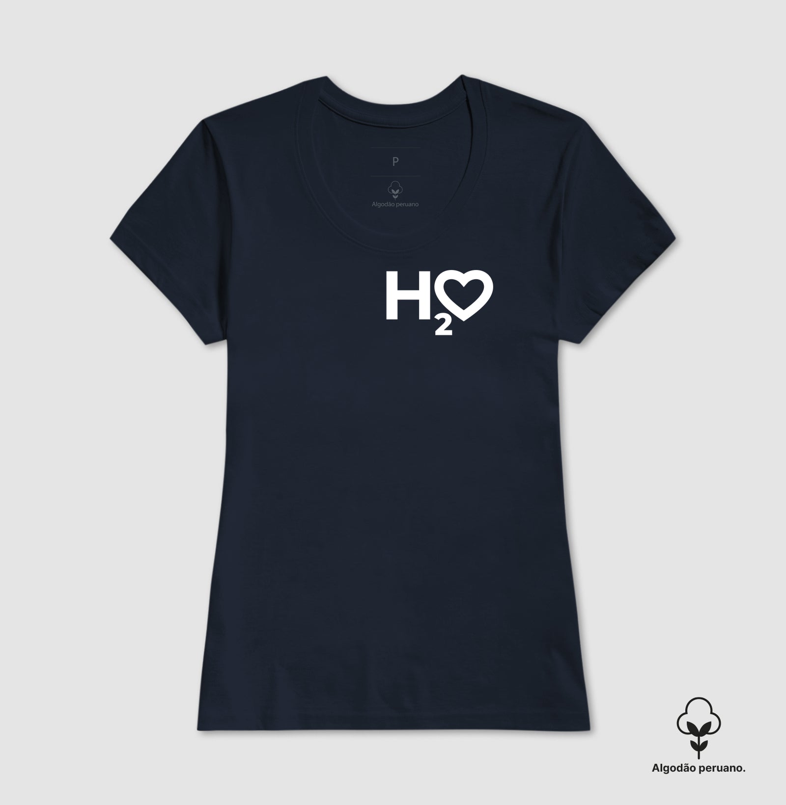 H2O