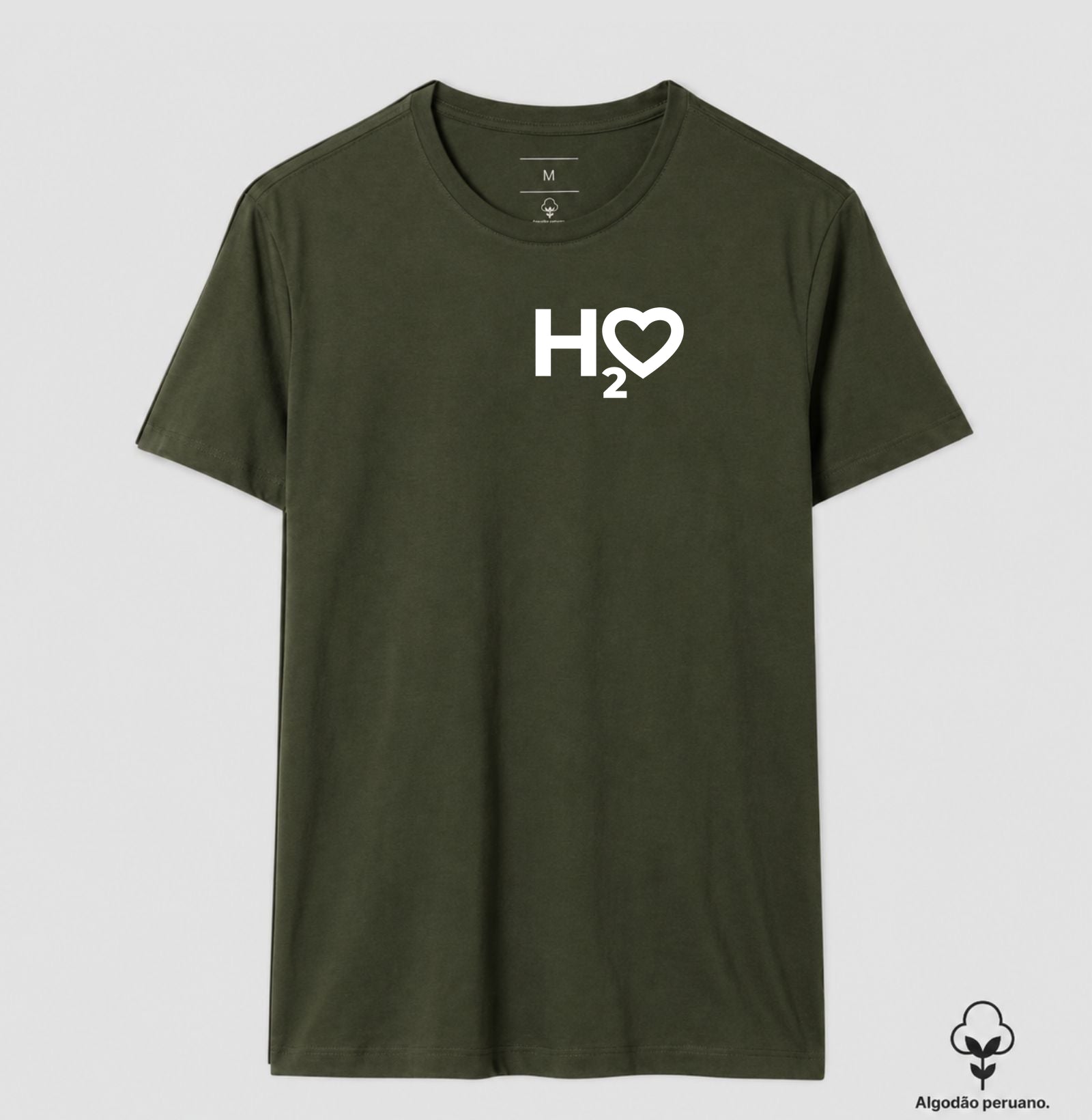 H2O