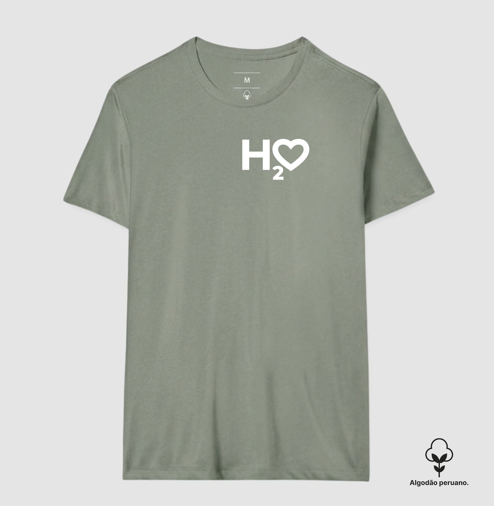H2O