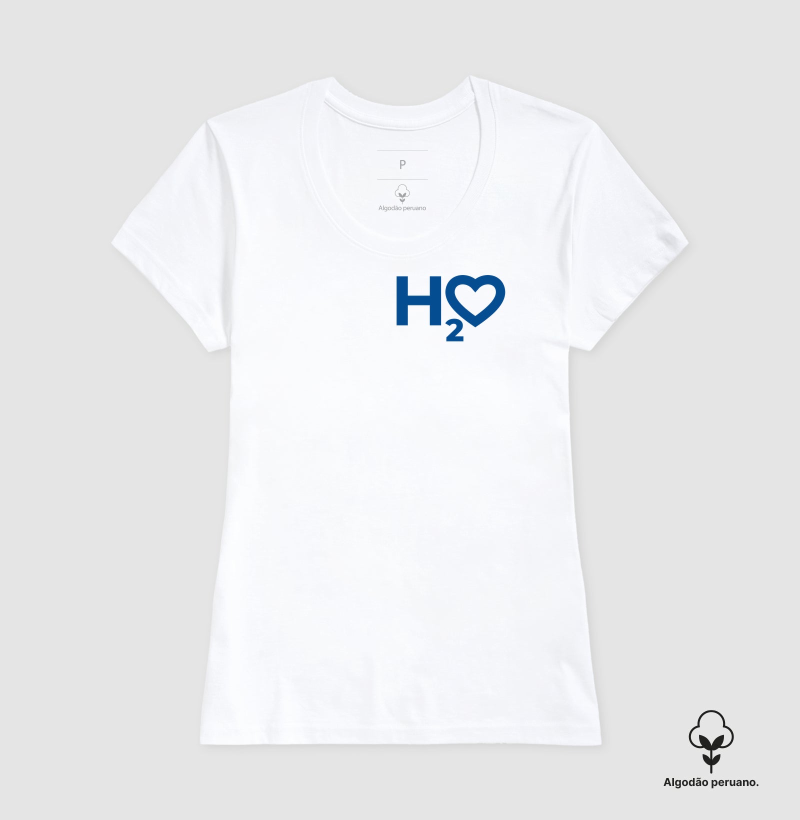 H2O