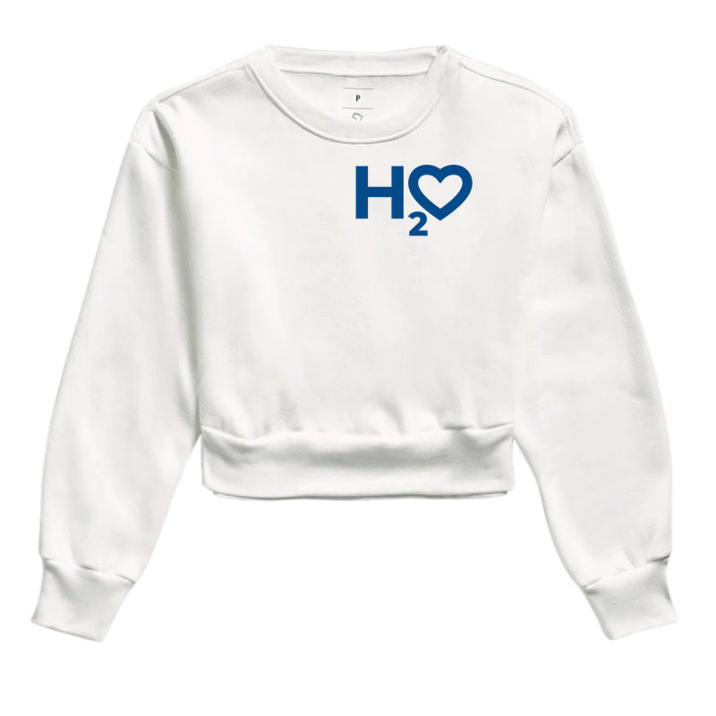 H2O