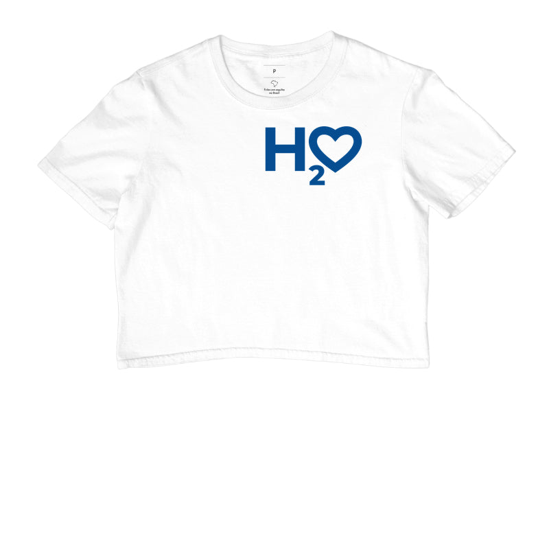 H2O