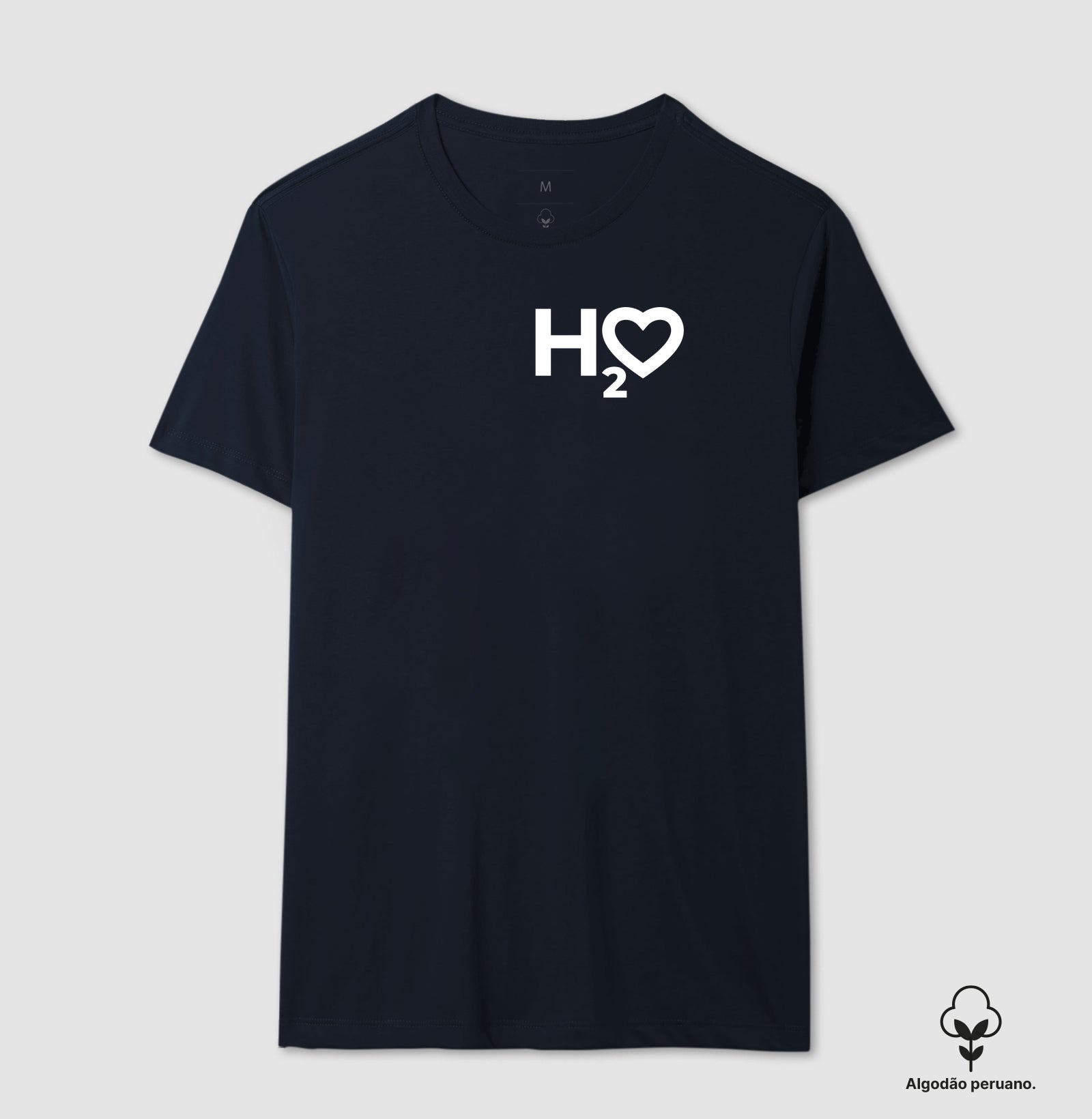 H2O