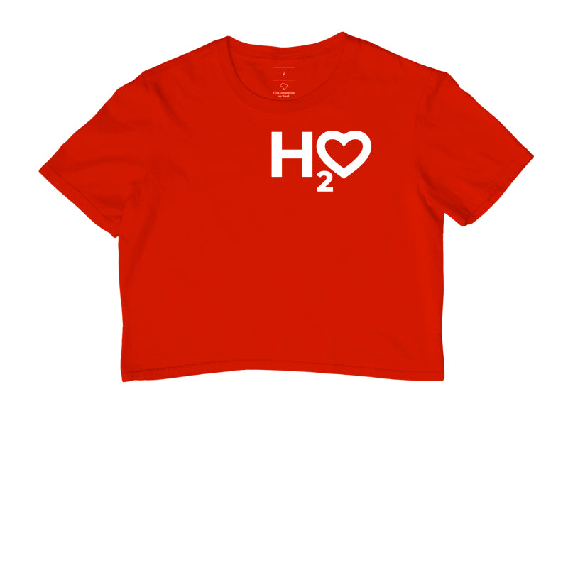 H2O