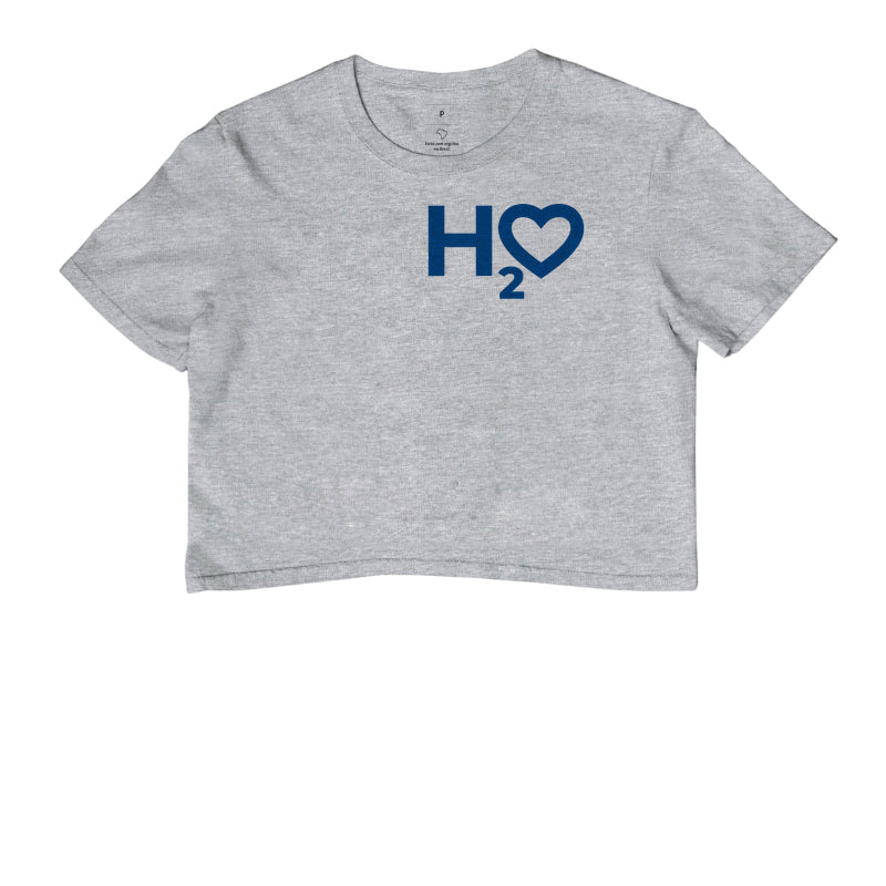 H2O