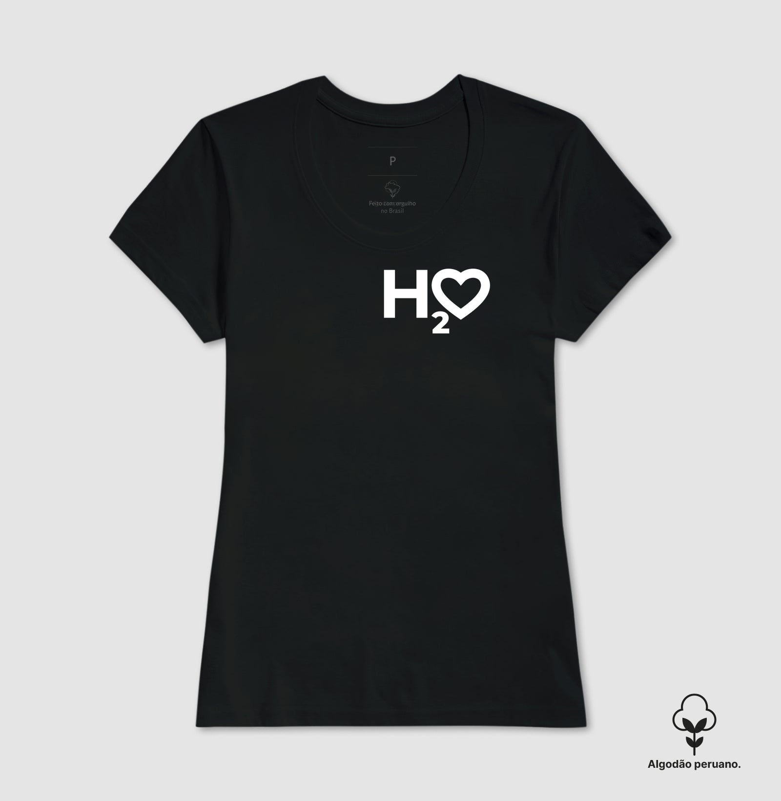 H2O