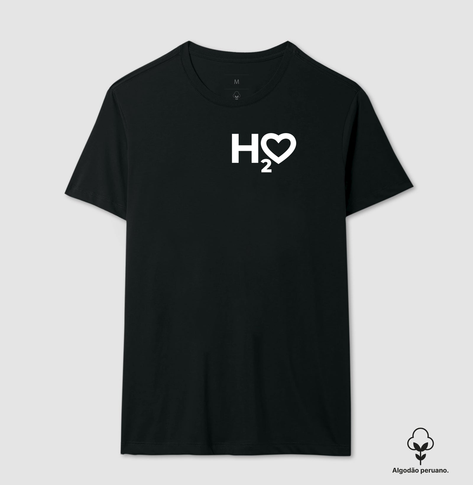 H2O