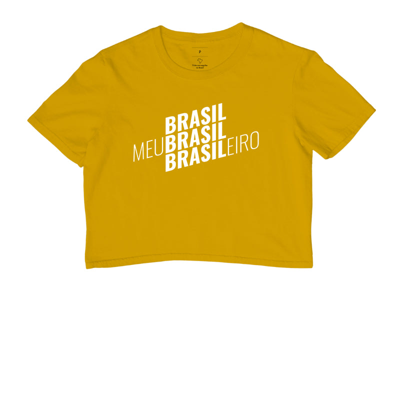 Meu Brasil Brasileiro
