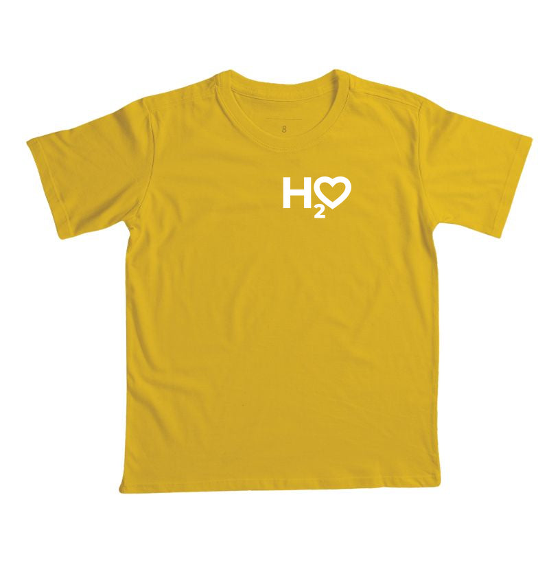 H2O