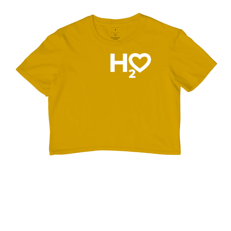 H2O