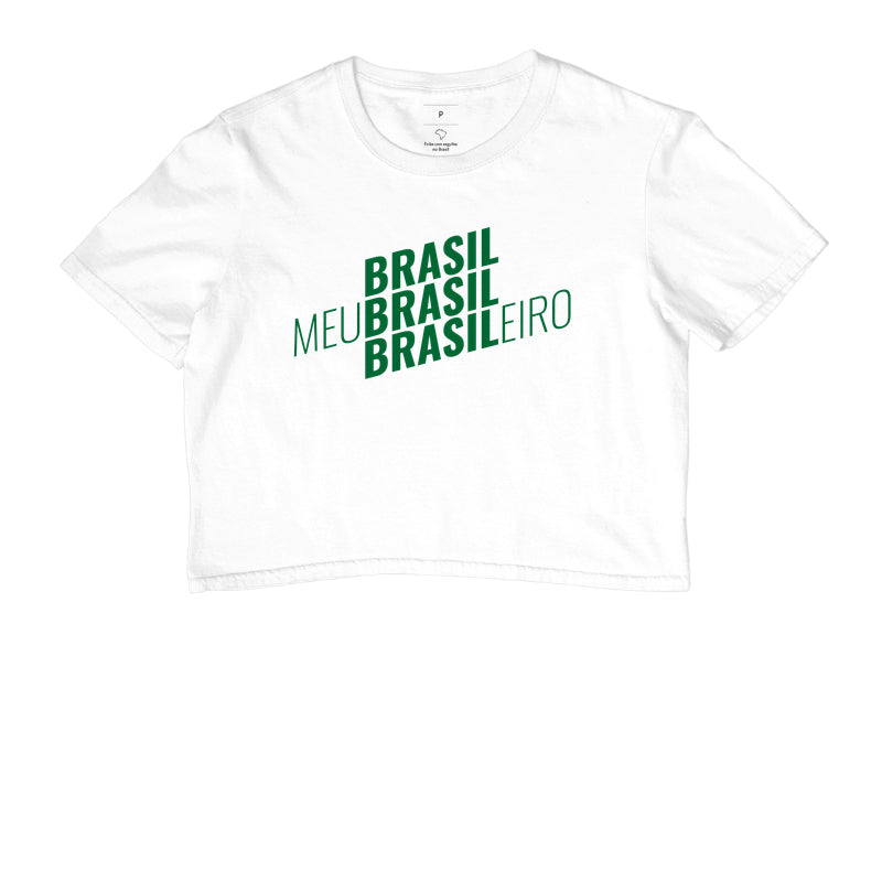meu brasil brasileiro