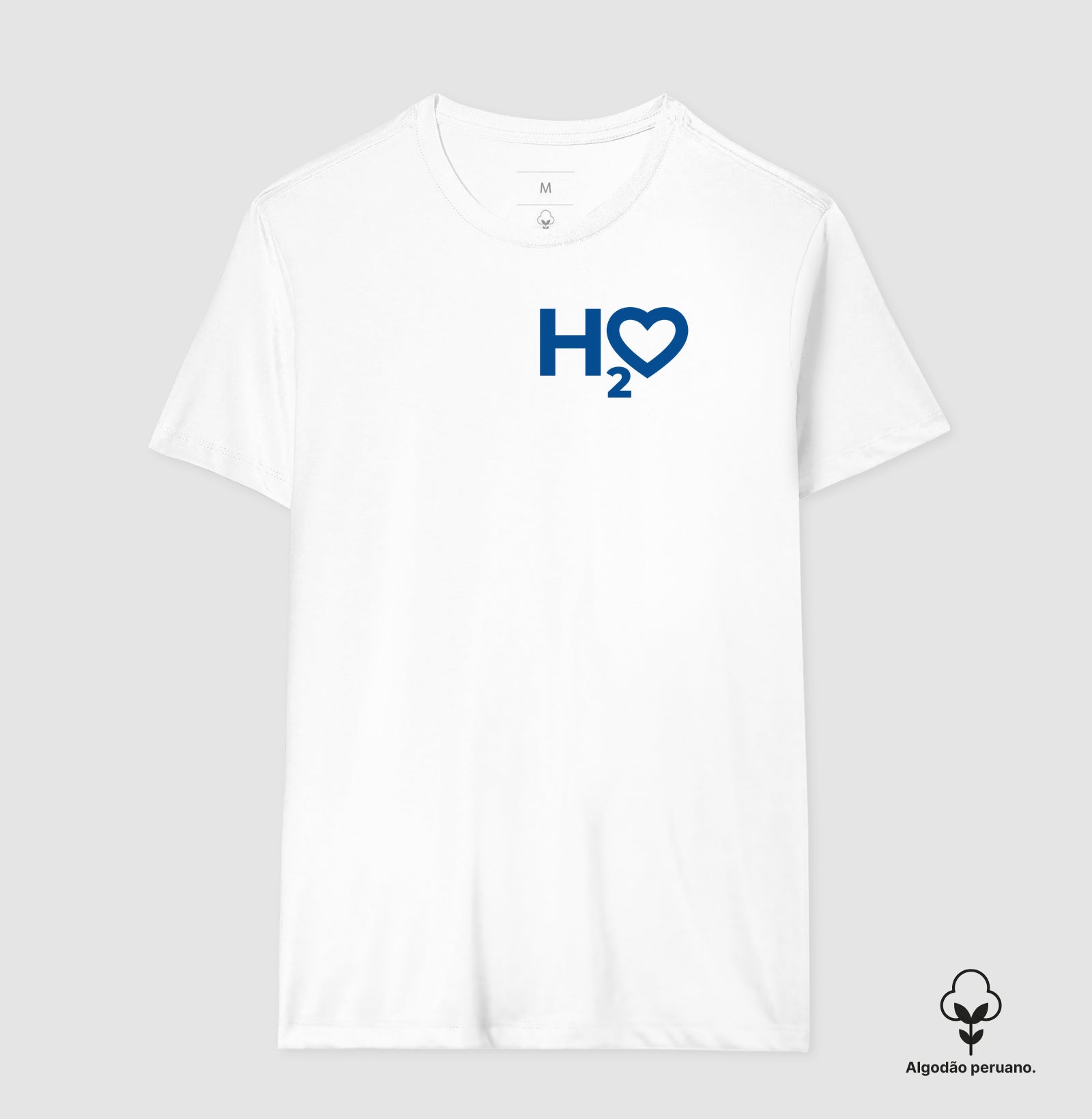 H2O