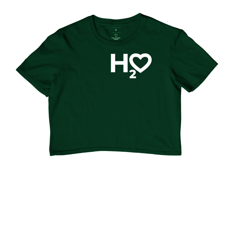 H2O
