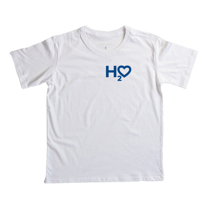 H2O